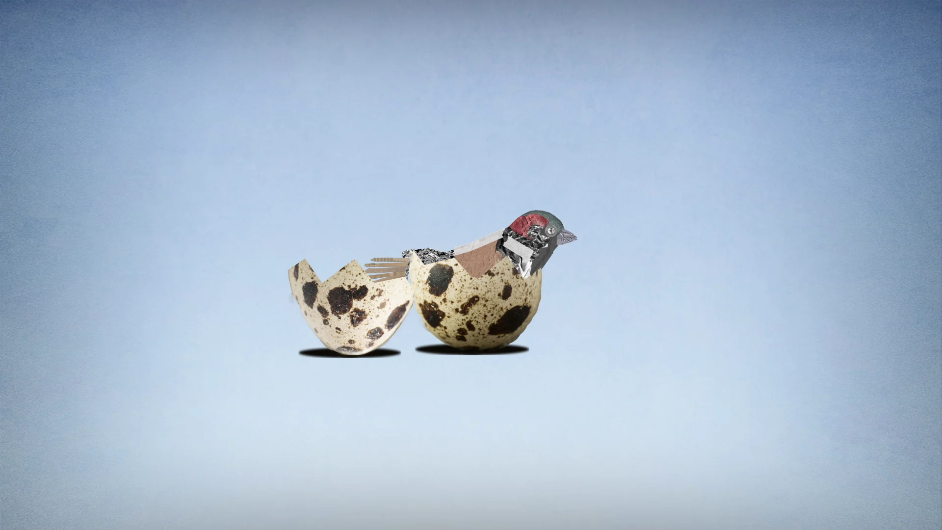 Animated Trailer - Grace